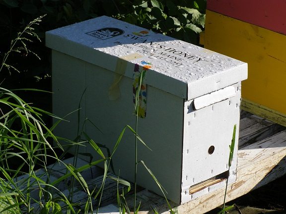 How to make splits & nucs for apiary increases