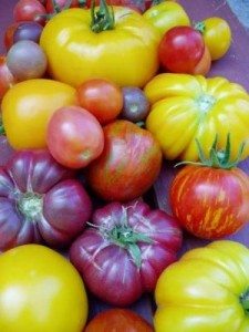 heirloom tomatoes