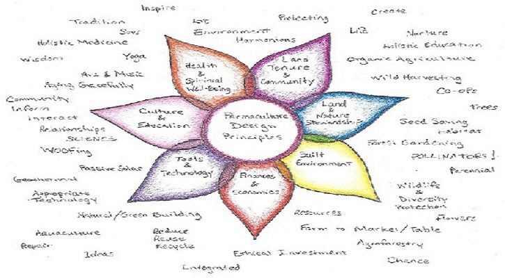 Designing a sustainable future with permaculture principles