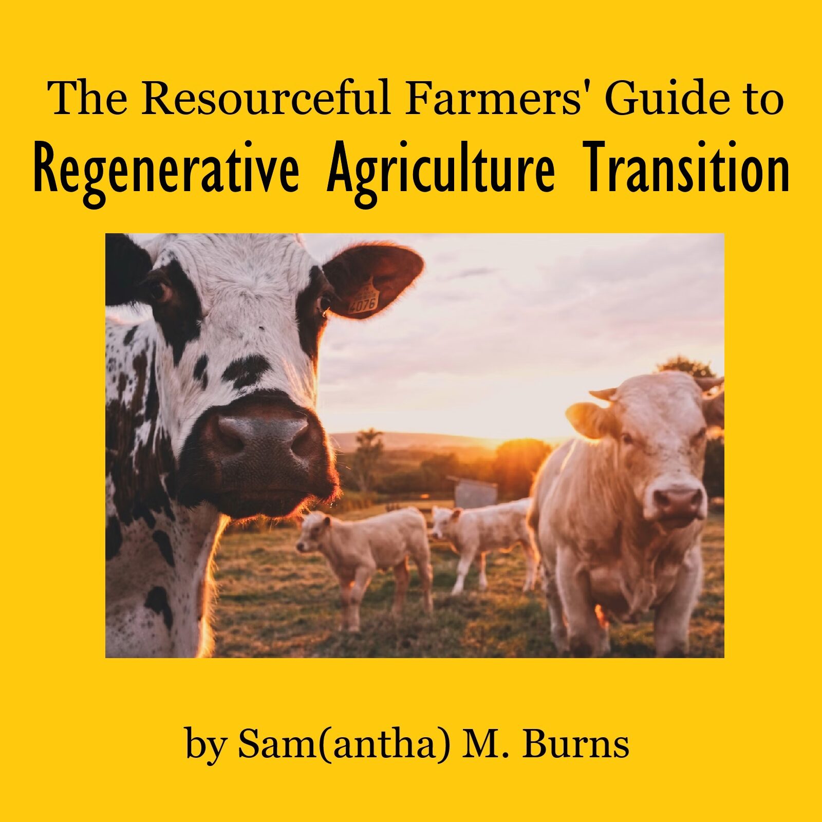 The Resourceful Farmers’ Guide to Regenerative Agriculture Transition