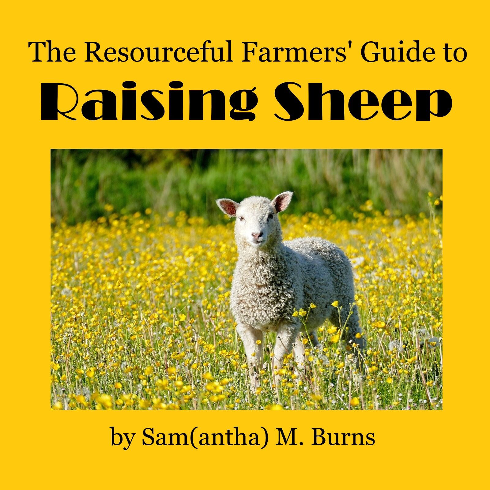 The Resourceful Farmers’ Guide to Raising Sheep